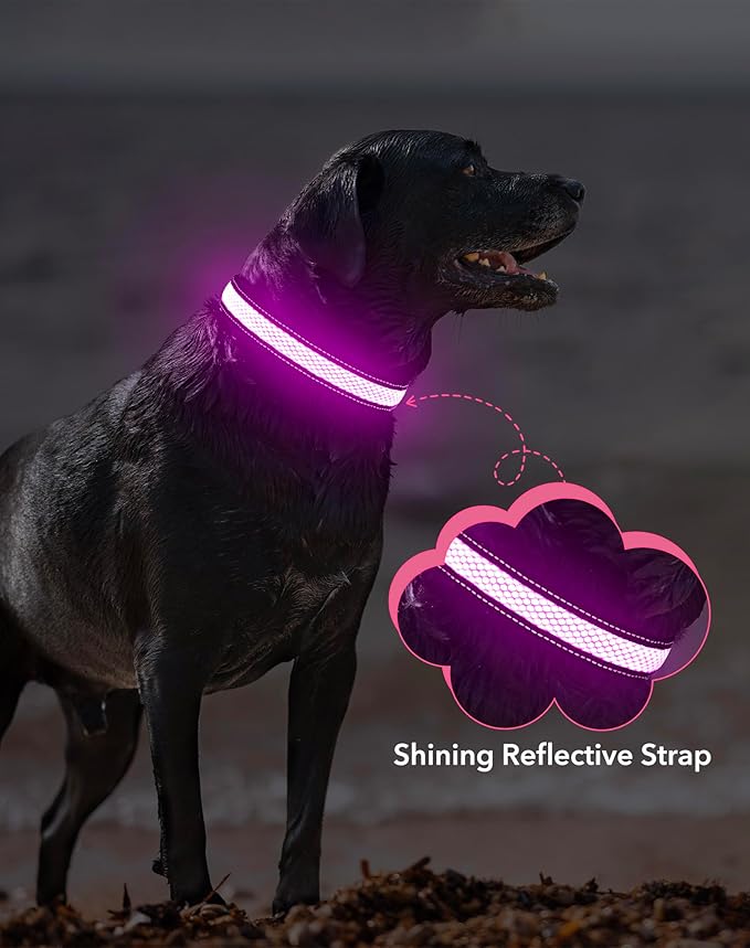 Weesiber Light Up Dog Collar, USB Rechargeable LED Dog Collar Glow in The Dark, Adjustable Reflective Waterproof Dog Collar Light for Night Walking(Pink, M)