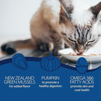 Blackwood Wet Cat Food, Chicken & Salmon with Pumpkin Recipe for All Life Stages, 3 Ounce Can (Pack of 12), Slow Cooked, Grain Free