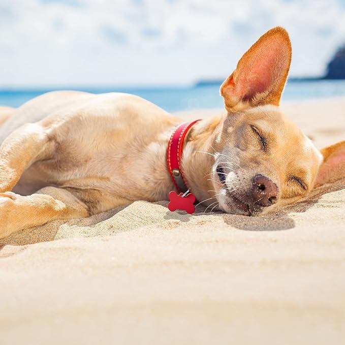 Frienda 40 Pieces Pet ID Tag Colorful Blank Dog Tags Personalized Dog Tags Aluminum Pet Name Tags with Bone Paw Heart Cat Head Shape Animals Name Phone Number ID Craft Tags with Holes for Dogs Cats