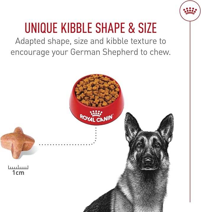 Royal Canin Breed Health Nutrition German Shepherd Adult Dry Dog Food, 30 lb Bag