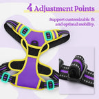 rabbitgoo Dog Harness No Pull with 2 Leash Clips, Adjustable Soft Padded, Reflective Oxford No Choke Pet Vest with Easy Control Handle for Small Dogs, Purple & Yellow, S