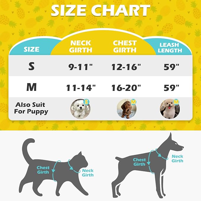 EXPAWLORER Cat Harness and Leash Set - Adjustable Escape Proof, Soft Vest Harness for Outdoor Walking, Breathable Mesh Lightweight for Kittens Puppies Small Animals, Lake Green M