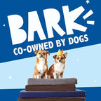 Barkbox Orthopedic Dog Bed with Memory Foam, Premium Comfort for Dogs and Puppies, Dog Bed for Joint Relief and Restful Sleep, Durable and Easy to Clean - Espresso, Large