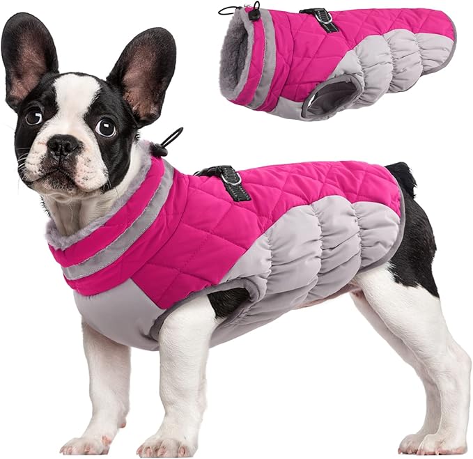 FUAMEY Dog Coat for Small Dogs,Waterproof Dog Winter Jacket with Harness Built in Puppy Cold Weather Coats Reflective Pet Vest with Zipper Warm Fleece Dogs Snowsuit Windproof Pink S