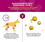 NaturVet Scoopables Dog Joint Supplement - Glucosamine DS Plus Level 2 Moderate Hip & Joint Care for Dogs w/Chondroitin & MSM - Hickory Smoked Bacon Flavored Pet Health Supplements | 11oz Bag