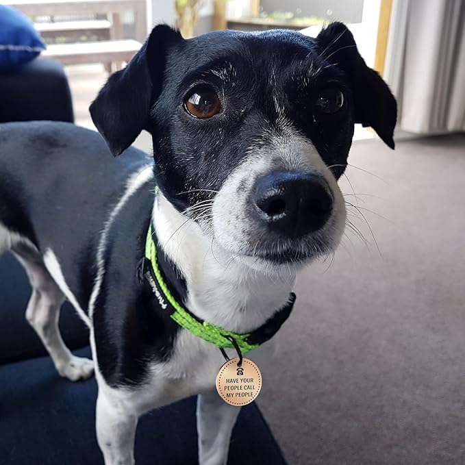 MYLUCKYTAG QR Code Digital Pet ID, Stainless Steel Dog Tag, Engraved, Durable, Online Pet Profile, Location Alert