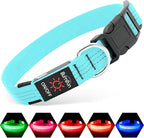 Illumifun Light Up Dog Collar, USB Rechargeable LED Dog Collar, Adjustable Reflective Lighted Pet Collar for Night Walking Camping (BlueⅢ, Large)