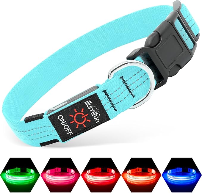 Illumifun Light Up Dog Collar, USB Rechargeable LED Dog Collar, Adjustable Reflective Lighted Pet Collar for Night Walking Camping (BlueⅢ, Large)