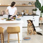 YINGFAN Slow Feeder Dog Bowls, Silicone Non-Slip Dog Slow Feeder Bowl, Puzzle Slow Eating Bowl for Medium to Small Dogs, Easy to Clean & Dishwasher Safe, 2 Cup, Blue Arc