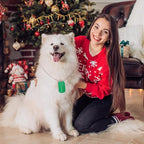 Yinkin 200 Pcs Personalized Military Dog Tags Set Including 100 Pcs Aluminum Blank Dog Tags for Engraving 100 Ball Steel Chain Rectangle Metal Blank Stamping Label for DIY Craft(Green)