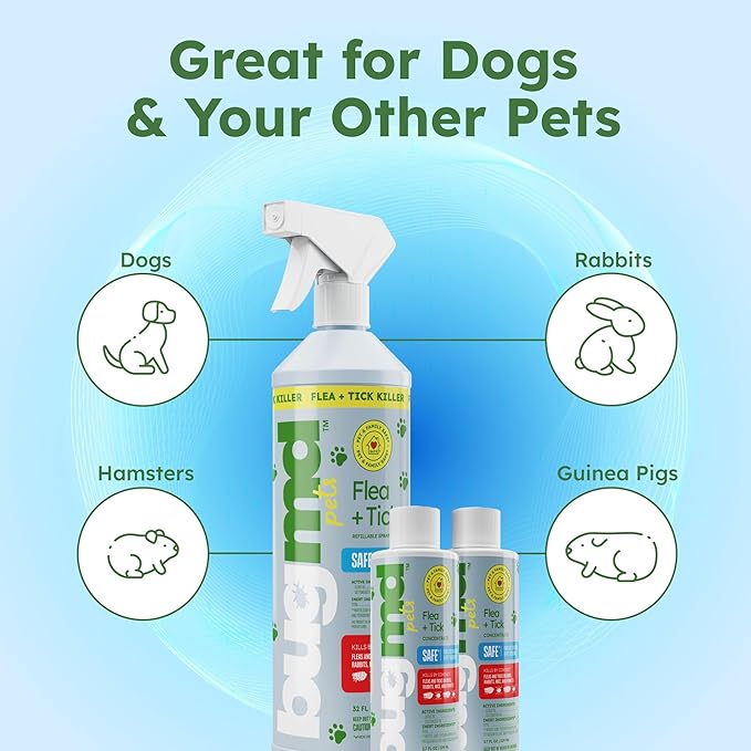 BugMD Flea and Tick Concentrate (3.7 oz, 2 Pack) – Essential Oil Formula for Dogs, Controls Fleas, Ticks & Mites, Safe for Pet Beds, Kennels & Home Use