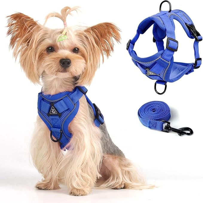 Vest Harness Leash Set for Small Dog Large Cat, Upgraded Escape Proof Adjustable Jacket with Lead for Puppy Fat Cat Outdoor Walking, Soft Breathable Mesh Coat with Reflective Strip XL Klein Blue