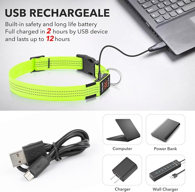 Illumifun Light Up Dog Collar, USB Rechargeable LED Dog Collar, Reflective Flash Pet Lighted Collar for Nighttime Walking (GreenⅢ, Large)
