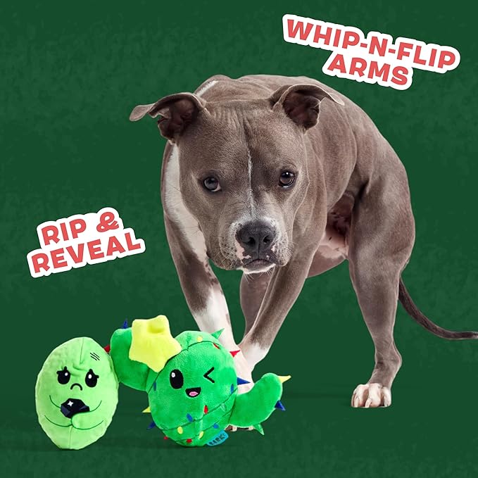 Barkbox Consuela The Christmas Cactus Dog Toy – Plush Rip & Reveal Holiday Toy with Whip-N-Flip Arms, Fluffy Stuffing & Hidden Spiky Ball Squeaker – Festive Play for Large Dogs (Pack of 2)