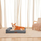 Orthopedic Dog Beds Large Sized Dog, 3 Inch Memory Foam Pet Bed for Medium and Large Dogs, Washable Removable Cover, Nonskid Bottom, Waterproof, 41x27 Inches XL Dark Grey
