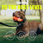 Tough Dog Chew Toys for Aggressive Chewers, Interactive Treat Dispensing Dog Toy, Durable Dog Toys for Medium & Large Dogs - Great for Boredom