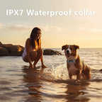 X3 Wireless Dog Fence No Buried Wire Needed, Large Dog Collar for 2 Dogs up to 130lbs, 3500FT Adjustable Boundary & 6100FT Remote, IPX7 Waterproof, 185 Days Battery, 3 Modes, Black