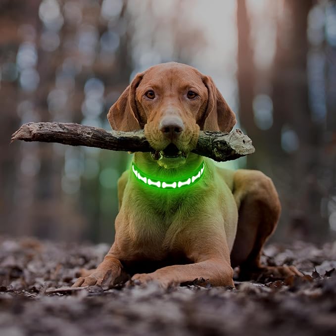 Flashseen Light Up Dog Collars, Adjustable LED Dog Collar Rechargeable, Glow in The Dark Dog Collars Super Bright Glow Collars for Night Walking for Dogs (Green, Small)