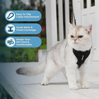 Voyager Step-in Lock Adjustable Cat Harness w. Cat Leash Combo Set with Neoprene Handle 5ft - Supports Small, Medium and Large Breed Cats by Best Pet Supplies - Black, XXXS