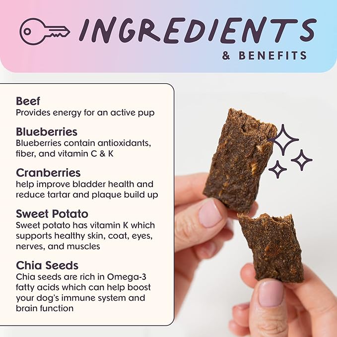 Leash & Load Dog Treats Beef Jerky Snack Bars, 5 oz Bag, Puppy and Training Treats, Natural Superfood Grain Free Made with Real Beef, Superfoods, Corn, Poultry & Soy Free