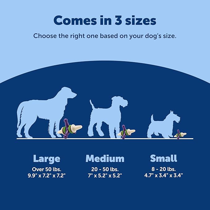 PetSafe Busy Buddy Jack - Keeps Dog Busy - Includes Treats Refill - Treat Holding Dog Toy - Helps Clean Teeth - Durable Rubber - Strong Chewers - Dishwasher Safe - Large - Purple