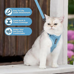 Voyager Escape-Proof Step-in Lock Cat Harness & 5ft Neoprene-Handle Leash Set All-Weather Mesh with Reflective Stitching for Small to Large Cats by Best Pet Supplies, Baby Blue, S