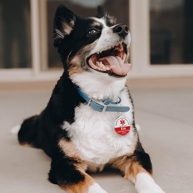 MYLUCKYTAG ESA Tag - Smart Pet ID with NFC & QR Code, Online Pet Profile, Location Alerts, Durable Collar Tag
