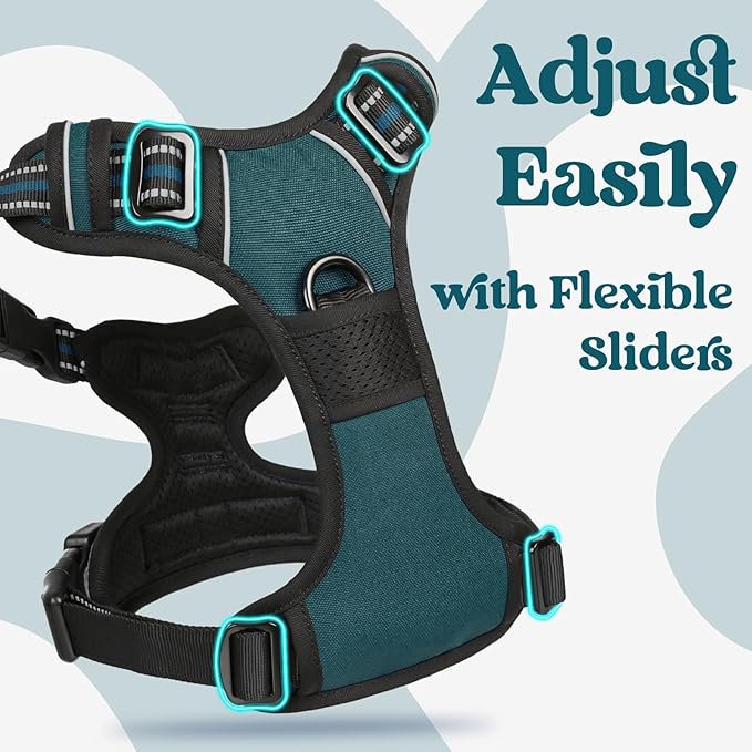 rabbitgoo Dog Harness Small Sized, No Pull Pet Harness with 3 Buckles, Adjustable Soft Padded Vest with Control Handle, Walking Reflective Pet Vest for Small Dogs, Blue Coral, S