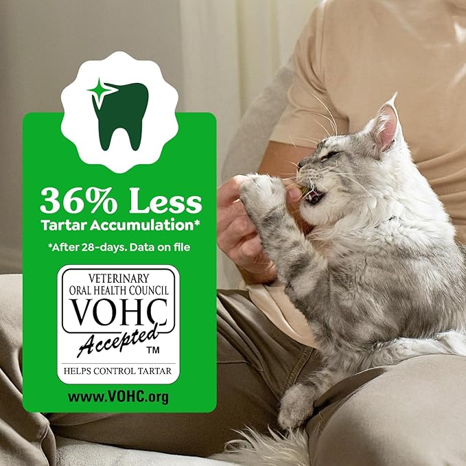 Greenies Feline Veterinarian-Recommended Adult Natural Dental Cat Treats, Catnip Flavor, 21 oz. Tub
