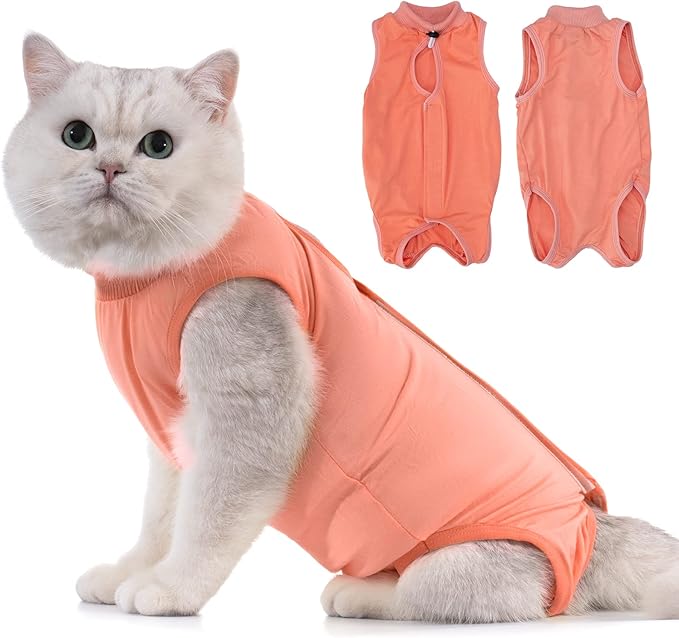Avont Cat Recovery Suit - Kitten Onesie for Cats After Surgery, Cone of Shame Alternative Surgical Spay Suit for Female Cat, Post-Surgery or Skin Diseases Protection -Coral(S)
