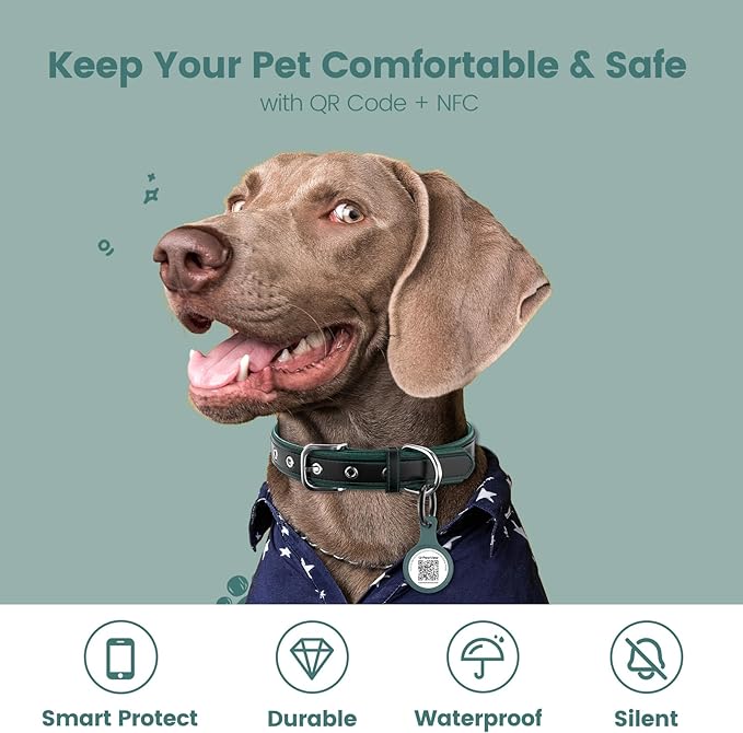 Dog ID Tag with QR Code & NFC, Silent Silicone Dog Name Tags Personalized for Pets- Scan QR for Instant Location Alert, Emergency Contact and Modifiable Pet Profile (Green)