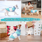 Turtleneck Pet Sweaters for Dogs Boys or Girls,Color Inlay and Moving Needle Pattern Dog Sweater,Pet Clothes,Dog Sweaters,Suitable for Various Breeds Dogs or Sizes(Blue Group,M)