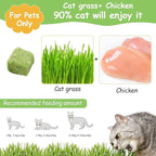 HavenJanny 60g Cat Grass Treats for Cats, Freezed Drying Cat Grass Teething Stick Snacks for Kitty, Edible Cats Chew Toys for Teeth Cleaning and Hairball Removal