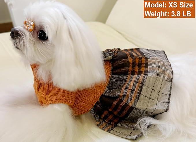 Lanyarco Orange Knitted Thanksgiving Fall Dog Sweater Dress, Dog Sweaters for Small Dogs Girl, Maltese Cat Apparel, Small (S)