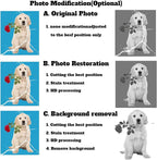 Dog Headstone, Memorial Stone,Black Granite Memorial Garden Stone Engraved with Photo,Pet Headstones Personalized Pet Memorial Stones for Dog,Cat Tombstone (Dog Memorial Stone)