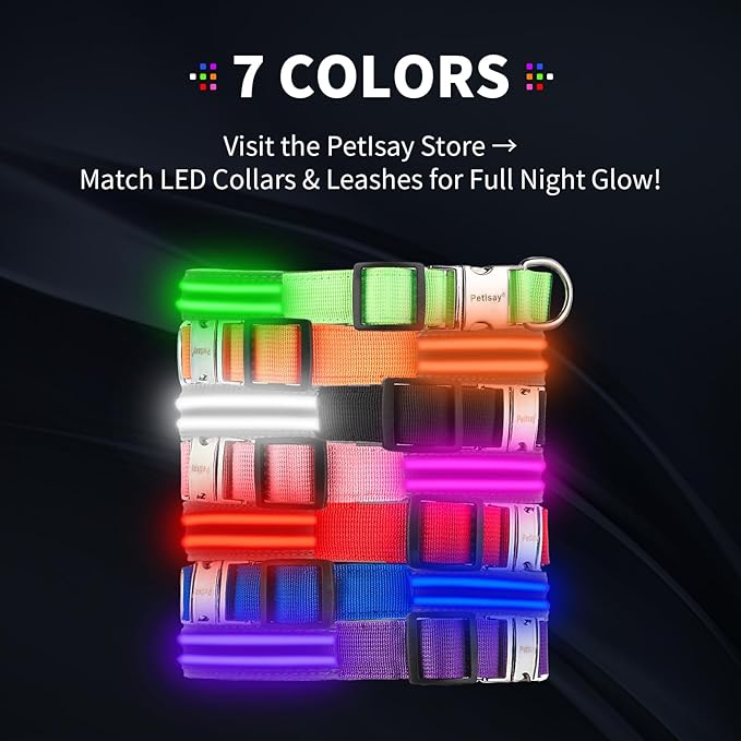 LED Dog Collar with Metal Buckle - USB Rechargeable Glow Collar for Dogs, Waterproof Light Up Dog Collar w/Reflective Strips - Adjustable Night Safety Collars by PetIsay(Purple, Small)