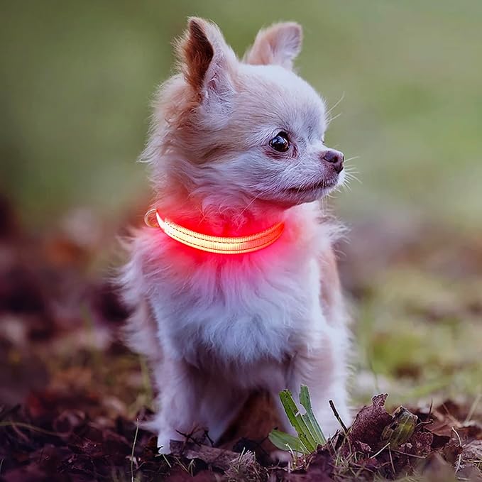Light Up Dog Collar for Small Dogs - Rechargeable LED Cat Collar, Adjustable Reflective Puppy Collar Glowing Safety Dog Lights for Night Walking (Red)
