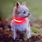 Light Up Dog Collar for Small Dogs - Rechargeable LED Cat Collar, Adjustable Reflective Puppy Collar Glowing Safety Dog Lights for Night Walking (Red)
