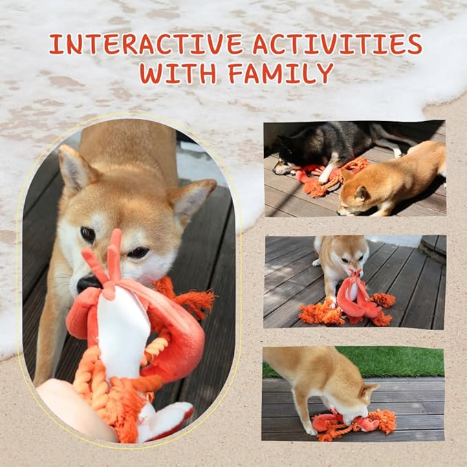 Tough Dog Toys, Large Squeaky Rope Tug of War Dog Toys for Puppy, Small, Medium, Large Dogs, Interactive Stuffed Plush Toys, Dog Birthday Gifts - Lobster