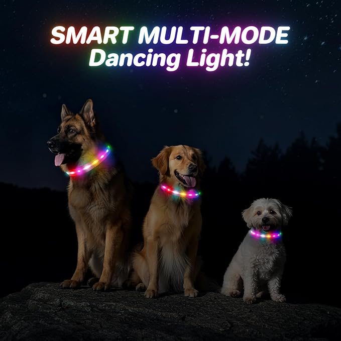 RUXAN Light Up Dog Collar,Dog Lights for Night Walking,LED Collars Waterproof,Glow Dog Collars Rechargeable,Glow in The Dark Dog Collar,Dog Collars Light for Small,Medium,Large Dogs (Large,Pink)