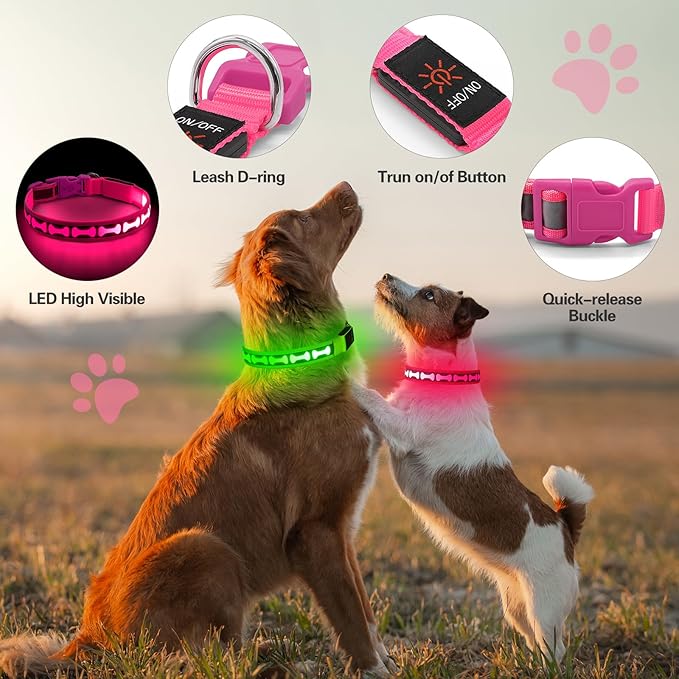 Flashseen Light Up Dog Collars, Adjustable LED Dog Collar Rechargeable, Glow in The Dark Dog Collars Super Bright Glow Collars for Night Walking for Dogs (Pink, Medium)