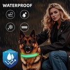 PetIsay LED Dog Collar Metal Buckle - Heavy Duty Light up Collars - Rechargeable IP68 Waterproof - Lighted Dog Collar for Night Walking, Hiking, Camping (Small, Green)