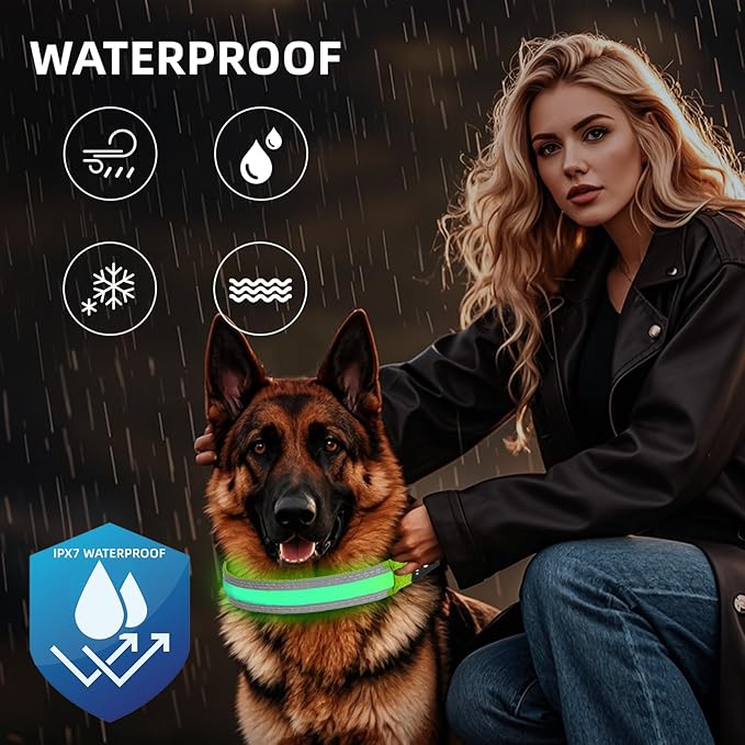 PetIsay LED Dog Collar Metal Buckle - Heavy Duty Light up Collars - Rechargeable IP68 Waterproof - Lighted Dog Collar for Night Walking, Hiking, Camping (Large, Green)