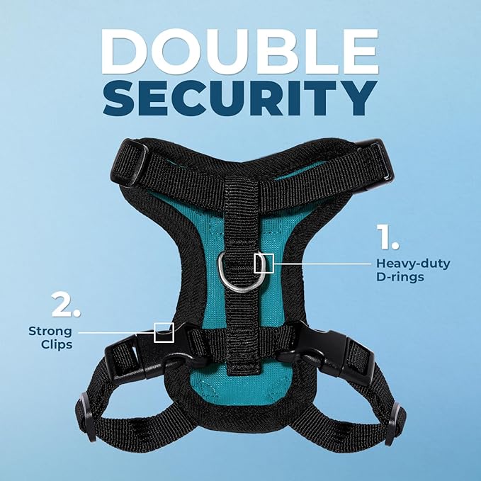 Voyager Step-in Lock Cat Harness and Reflective Cat Leash with Neoprene Handle by Best Pet Supplies - Supports Small, Medium and Large Breed Cats, Turquoise/ Black Trim, size S - 5ft