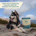 Steve's Real Food Freeze-Dried Raw Nuggets - White Fish Recipe - Raw Pet Food for Dogs and Cats - 20 oz