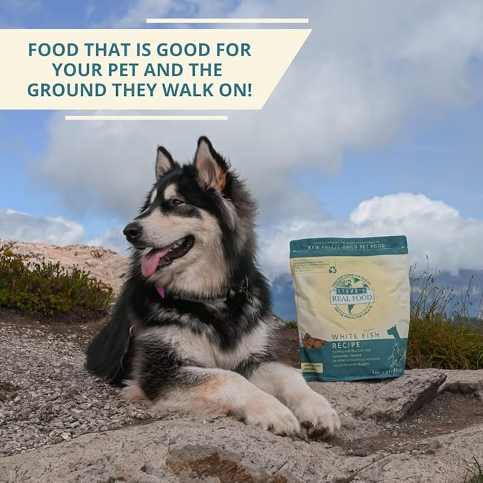Steve's Real Food Freeze-Dried Raw Nuggets - White Fish Recipe - Raw Pet Food for Dogs and Cats - 20 oz