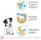 Royal Canin Breed Health Nutrition Jack Russell Terrier Puppy Dry Dog Food, 3 lb Bag