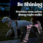 rabbitgoo Dog Harness Small Sized, No Pull Pet Harness with 3 Buckles, Adjustable Soft Padded Vest with Control Handle, Walking Reflective Pet Vest for Small Dogs, Pink, S