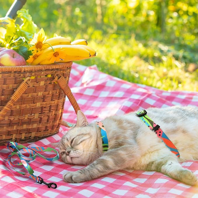 PAWCHIE Cat Harness and Leash Set, Cats Escape Proof-Adjustable Kitten Harness Lightweight Soft Outdoor Walking Travel Pet Safe Harness, Puppy Harness for Girl Cats Bunny Rabbit Small Dog, Green S