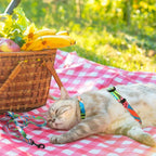 PAWCHIE Cat Harness and Leash Set, Cats Escape Proof-Adjustable Kitten Harness Lightweight Soft Outdoor Walking Travel Pet Safe Harness, Puppy Harness for Girl Cats Bunny Rabbit Small Dog, Green S